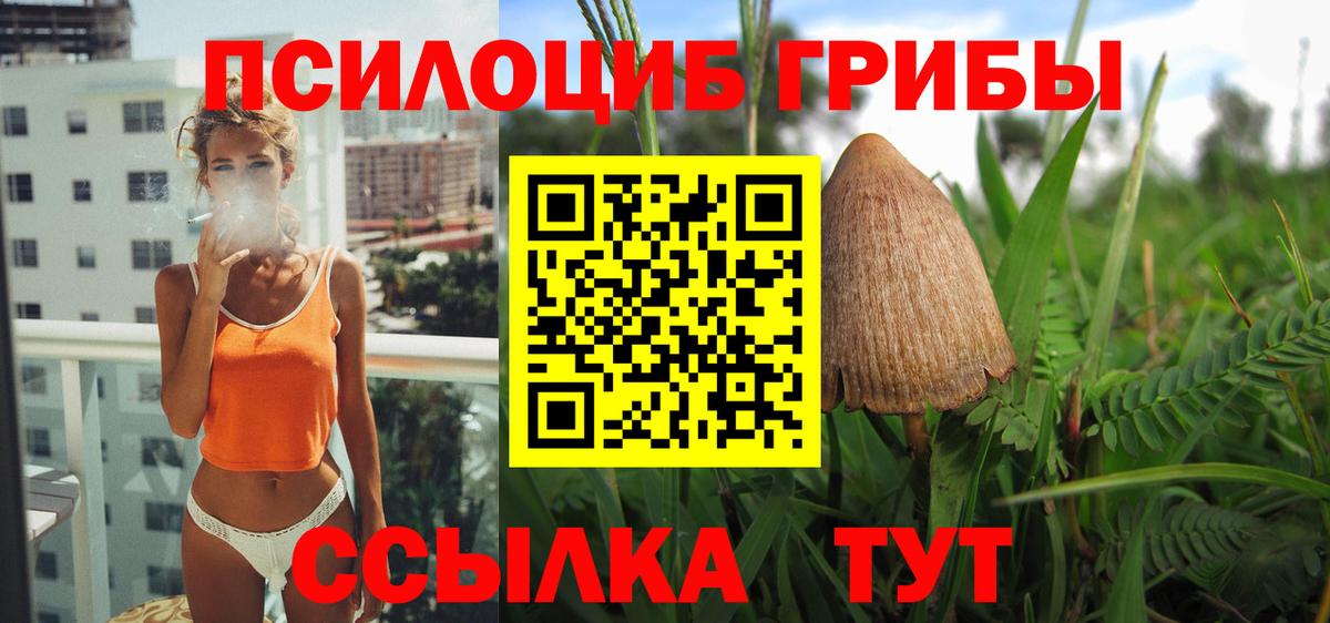 Псилоцибиновые грибы мухоморы Кизилюрт