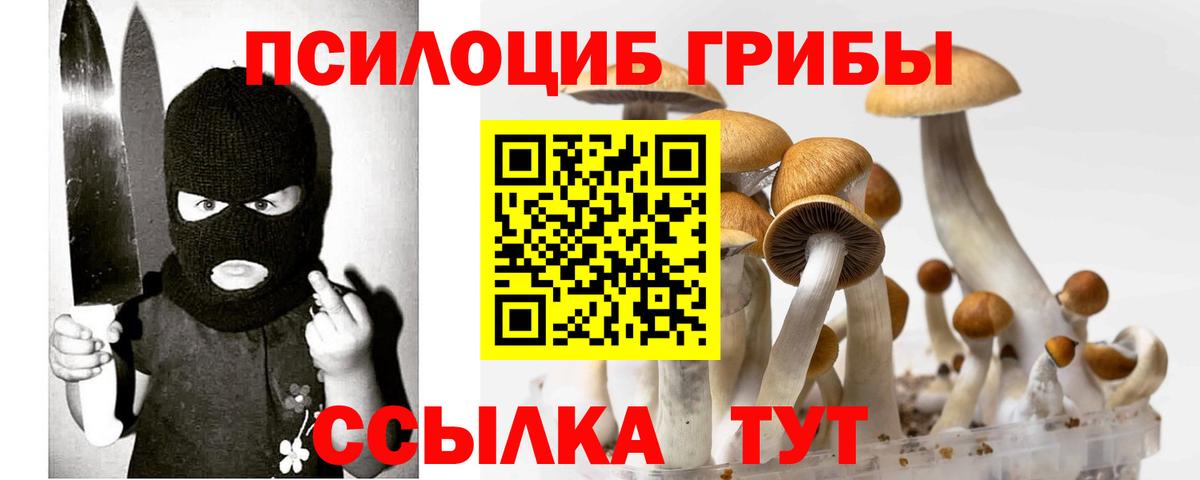 Галлюциногенные грибы мицелий  даркнет сайт  Кизилюрт  Вход с VPN 